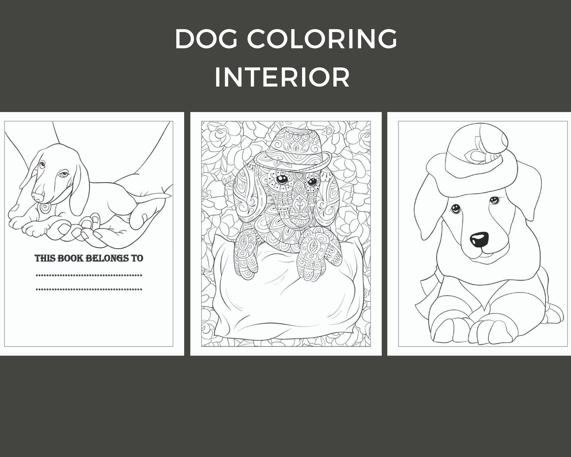 Dog Coloring Interior